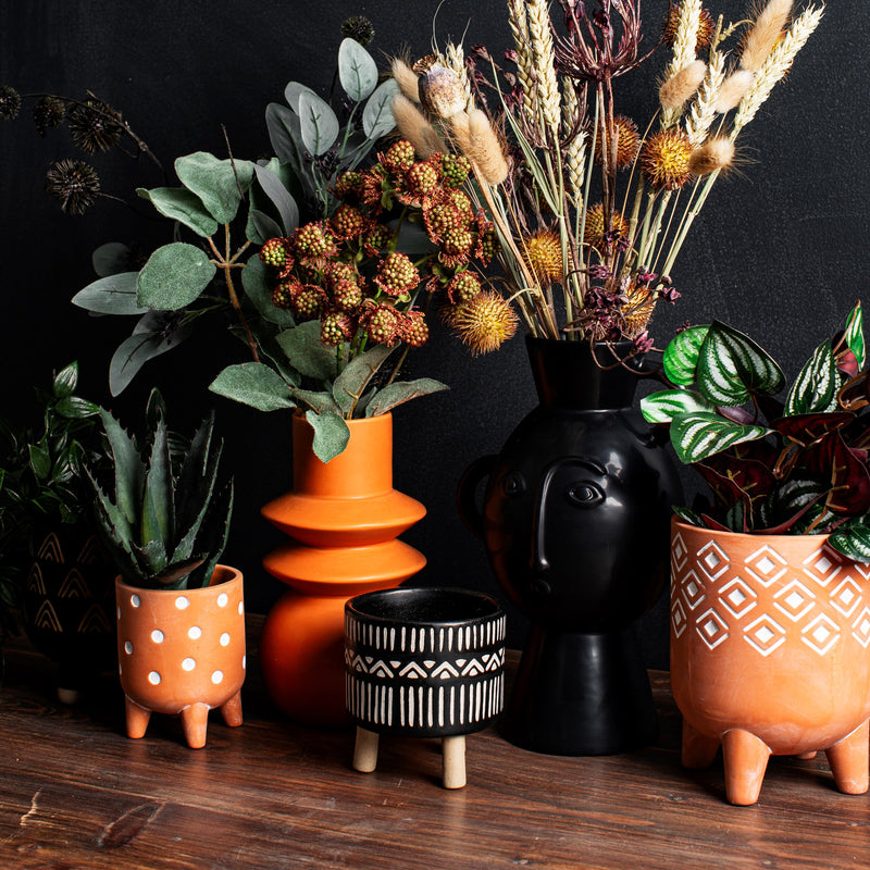 NALA LEGGY PLANTER