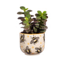 BUSY BEES SMALL PLANTER