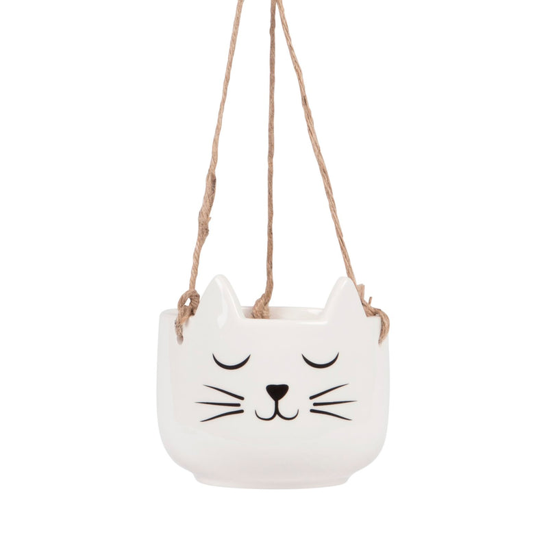 CAT'S WHISKERS HANGING PLANTER