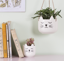 MINI CAT'S WHISKERS PLANTER