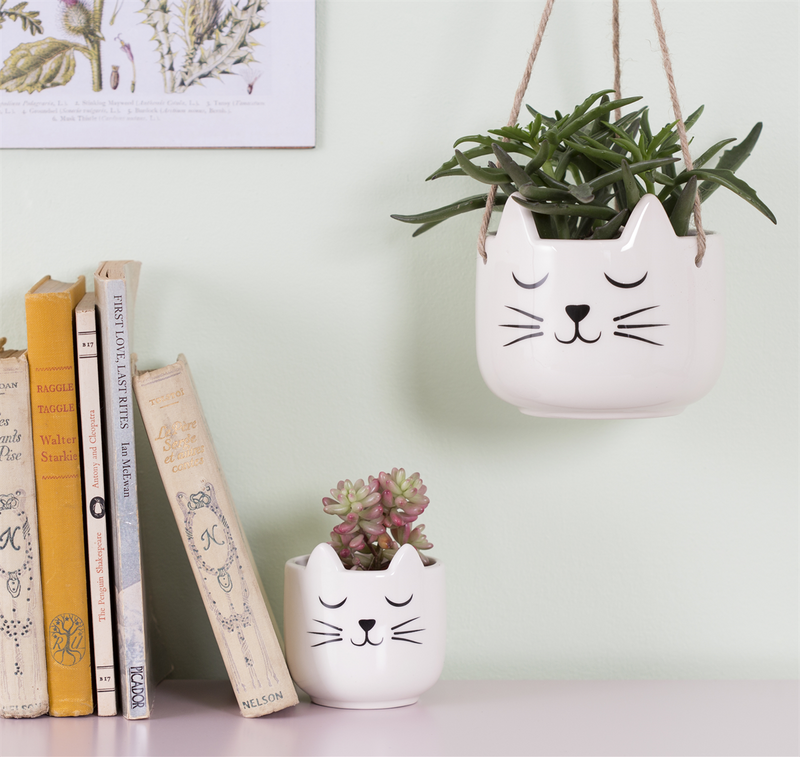 CAT'S WHISKERS HANGING PLANTER