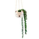 WOODLAND FOX HANGING PLANTER